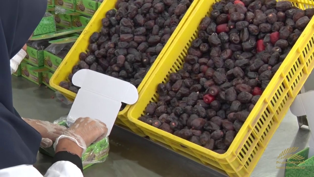 How To Store Dates? The Best Way To Preserve Dates 15Tips