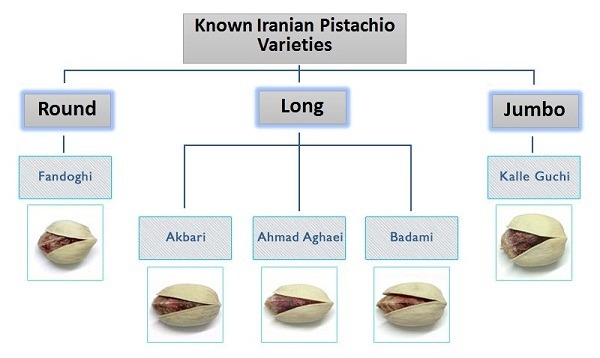 types of Pistachio